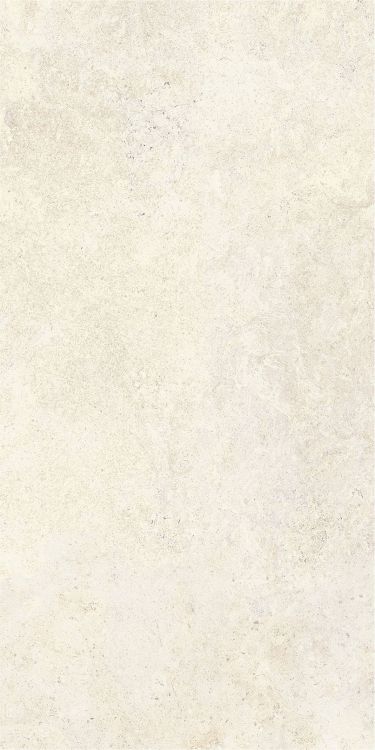 OL Limestone Avorio Matte 24 x 48